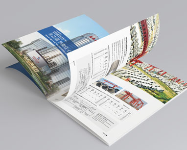 山東龍泉股份宣傳畫冊