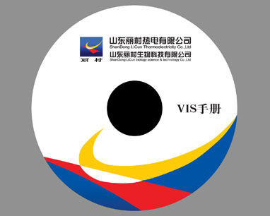 山東麗村熱電CIS策劃