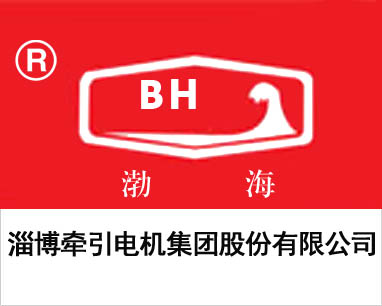 牽引電機(jī)企業(yè)畫冊